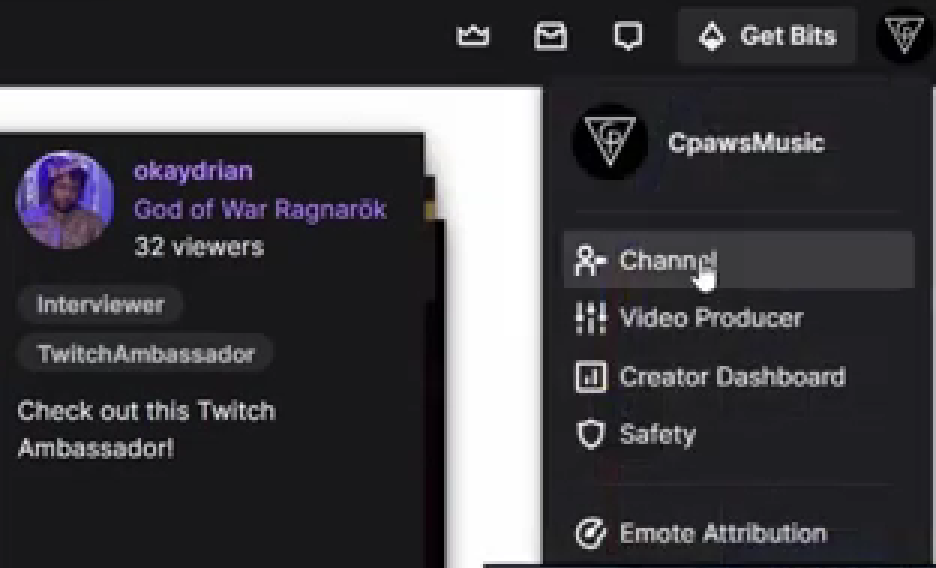 Screenshot 2023 03 27 125929 How to raid someone on Twitch